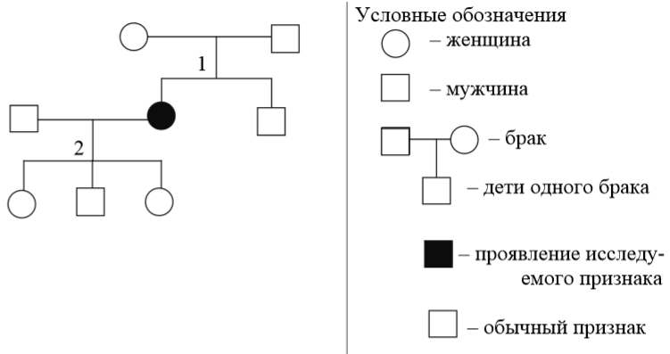 На изображенной на рисунке родословной установите характер проявления признака