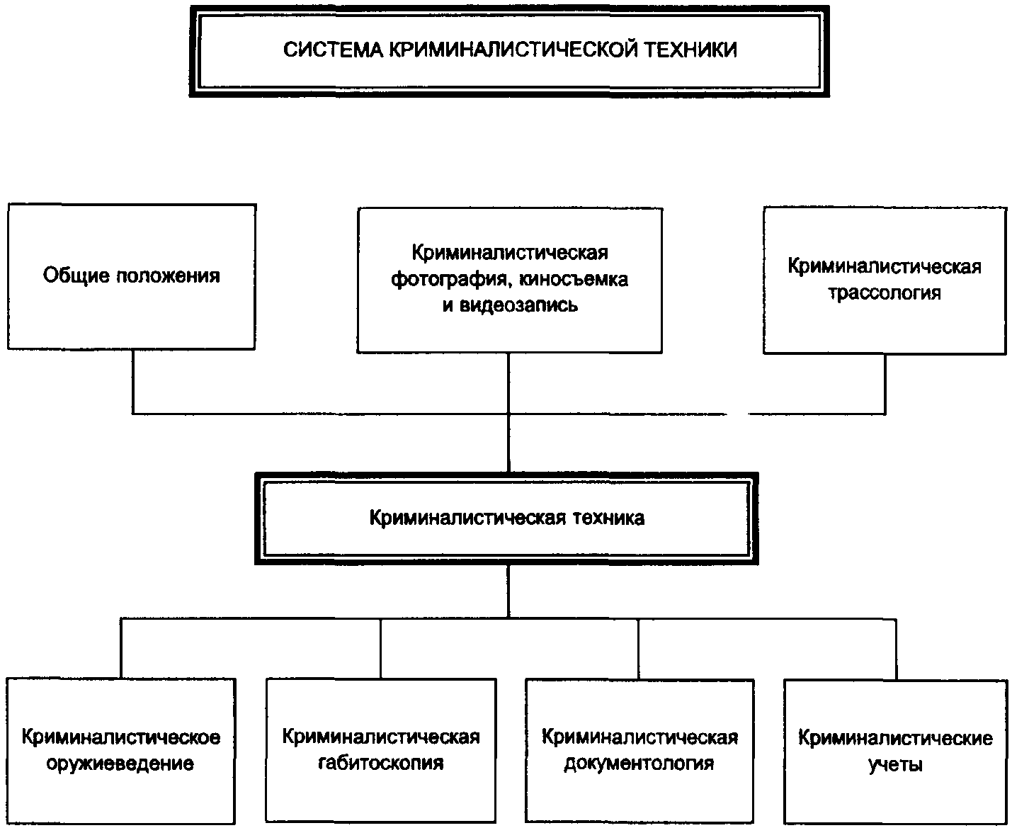 Задачи по криминалистике в картинках