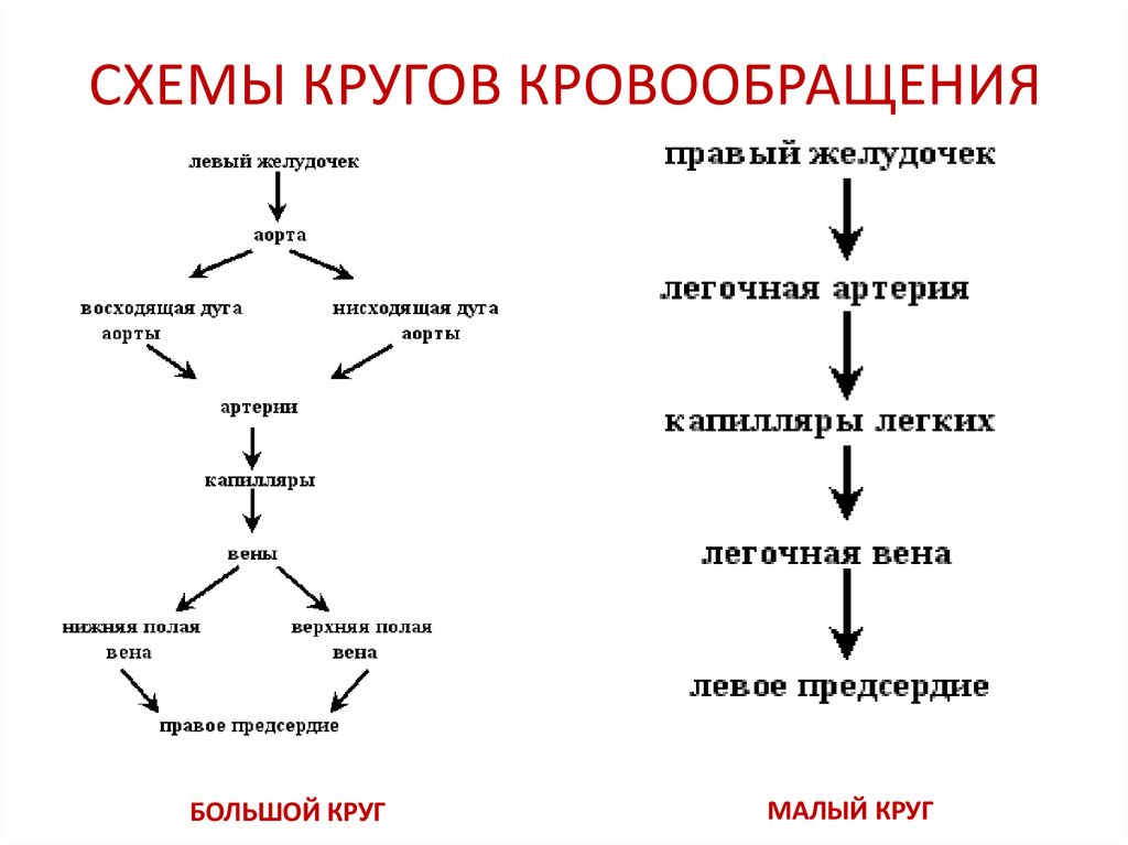 Период повторного строения схема