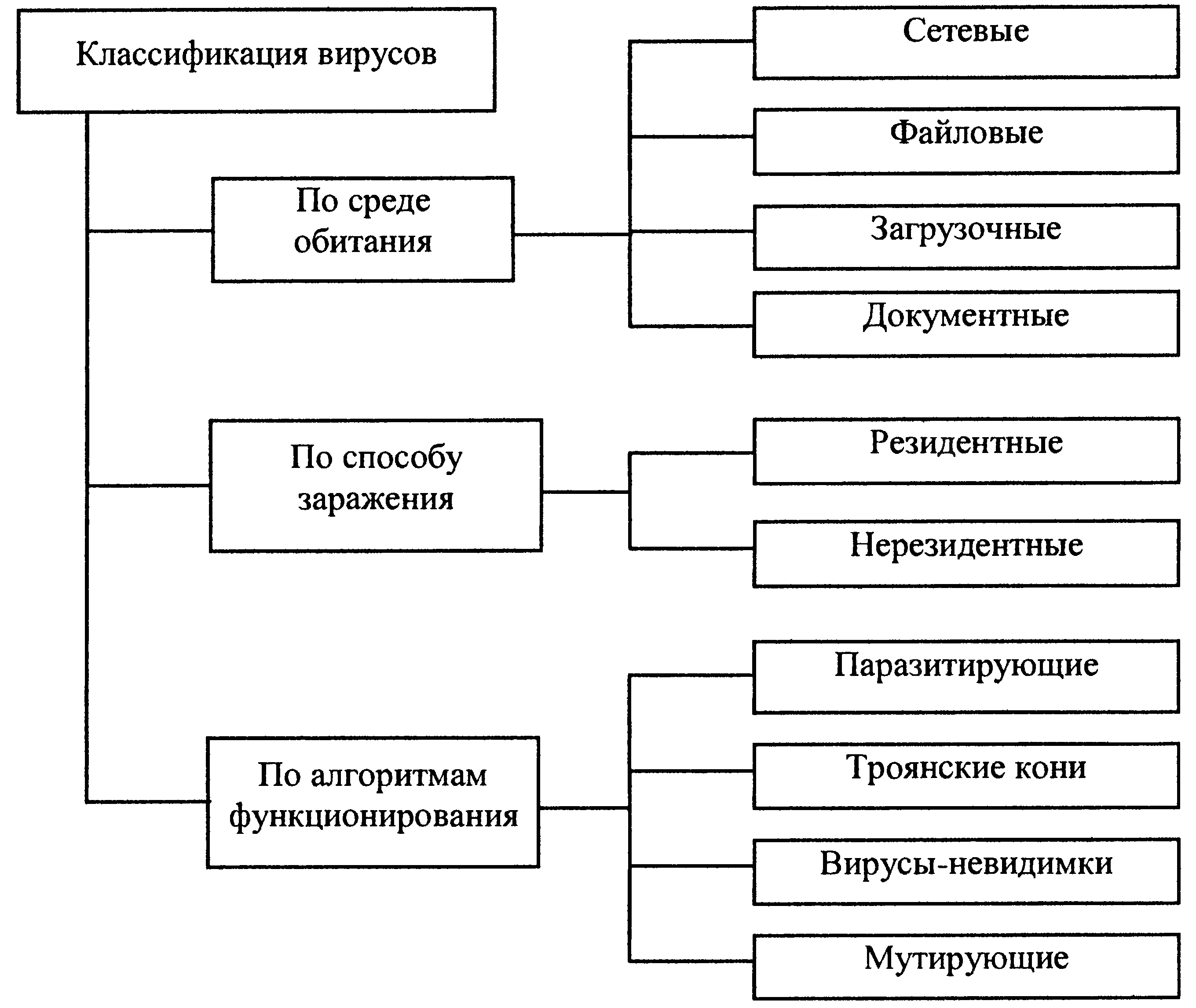 Схема виды вирусов