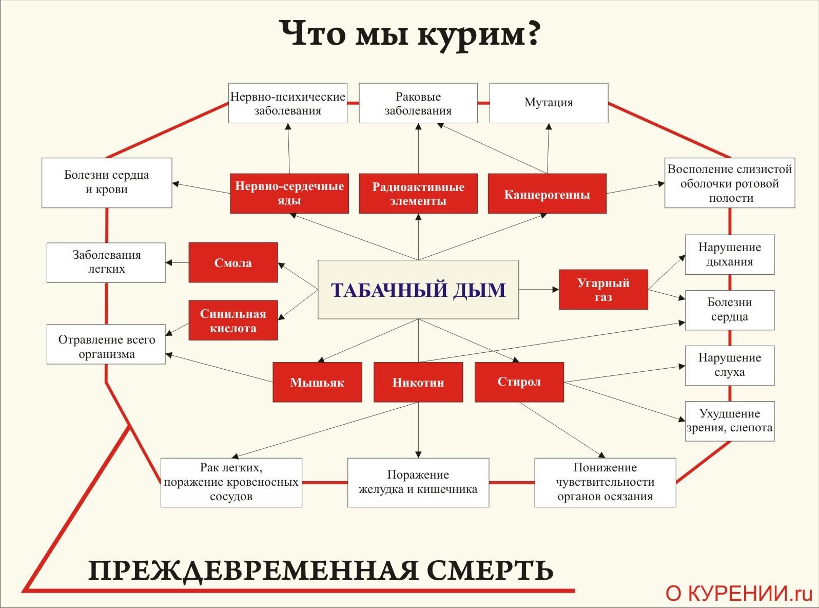 Вред курения схема