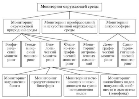 Виды мониторинга схема