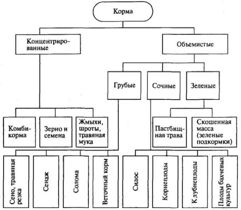 Общие сведения о кормах и кормовой базе способы и технологические схемы приготовления кормов